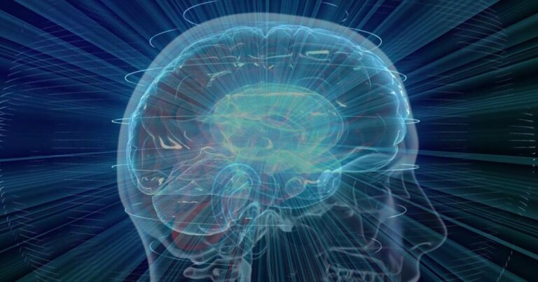 AI Deep Learning klasyfikuje guzy mózgu na podstawie skanu mózgu